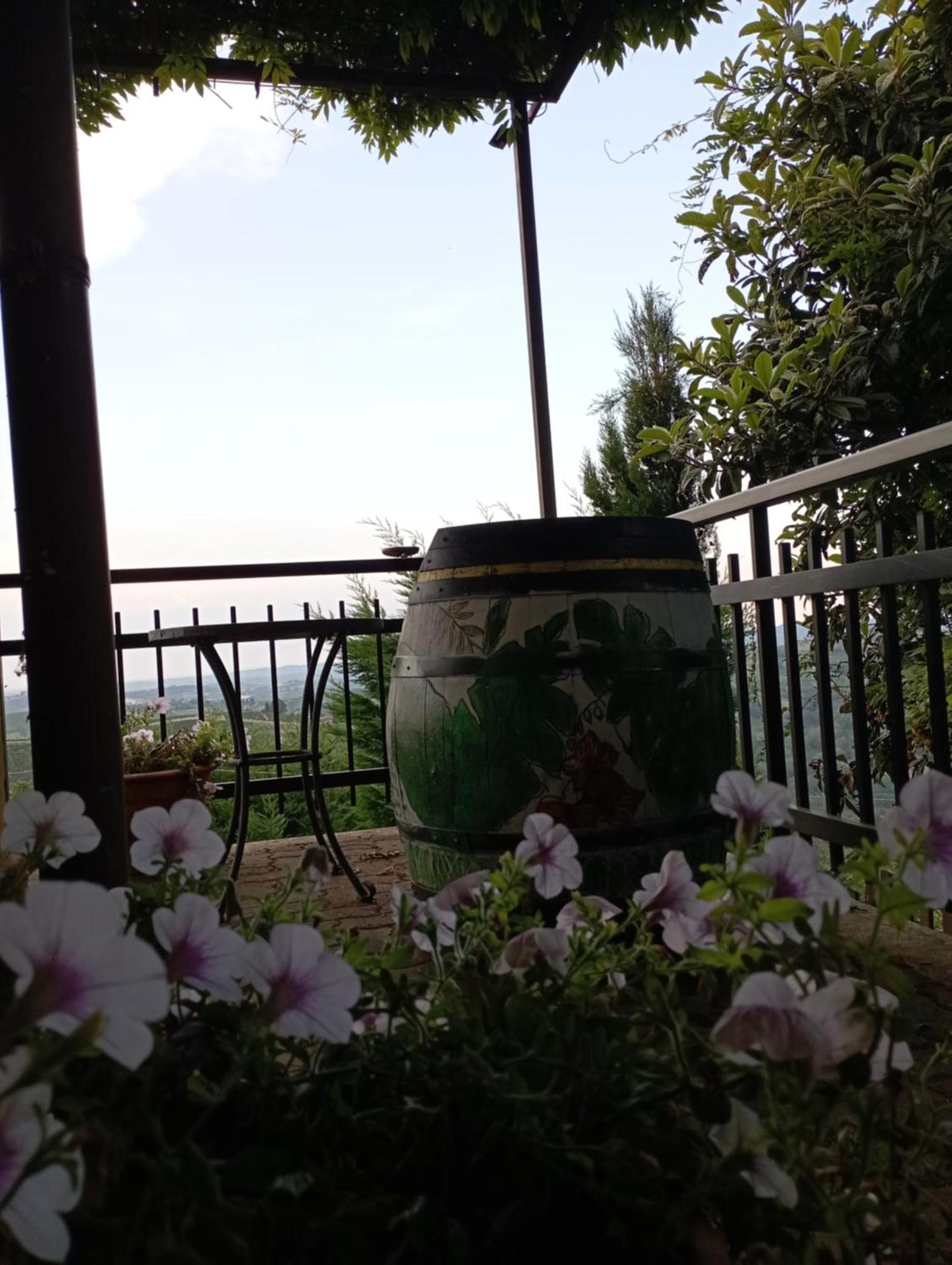 Casa Vacanza Il Colle Del Vento Calosso Esterno foto