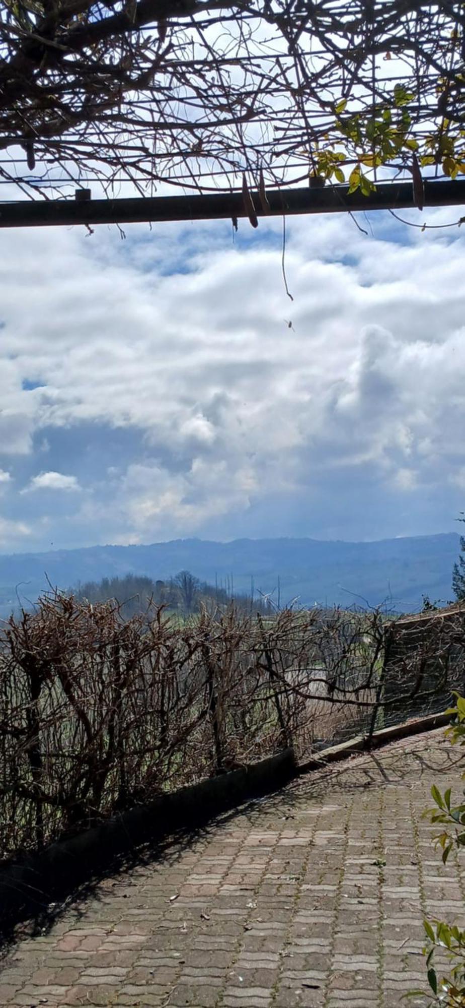 Casa Vacanza Il Colle Del Vento Calosso Esterno foto