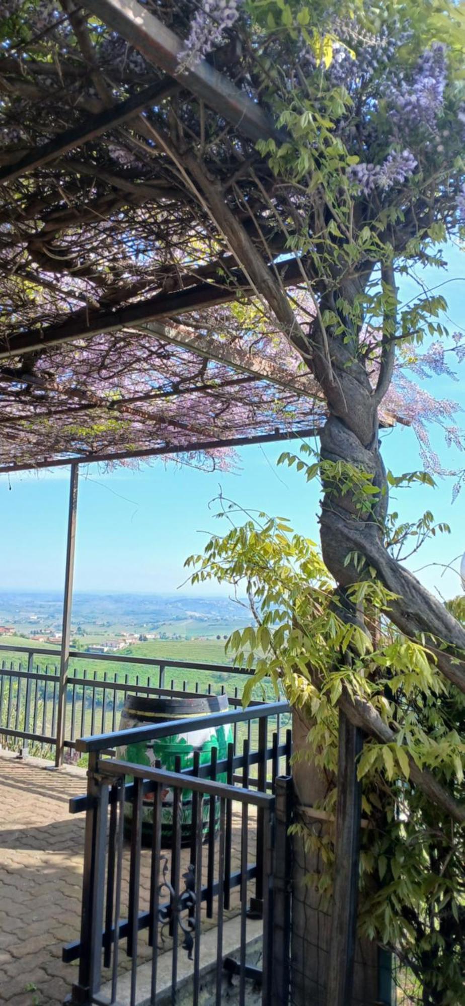 Casa Vacanza Il Colle Del Vento Calosso Esterno foto