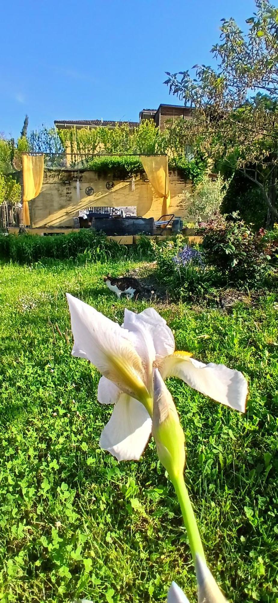 Casa Vacanza Il Colle Del Vento Calosso Esterno foto
